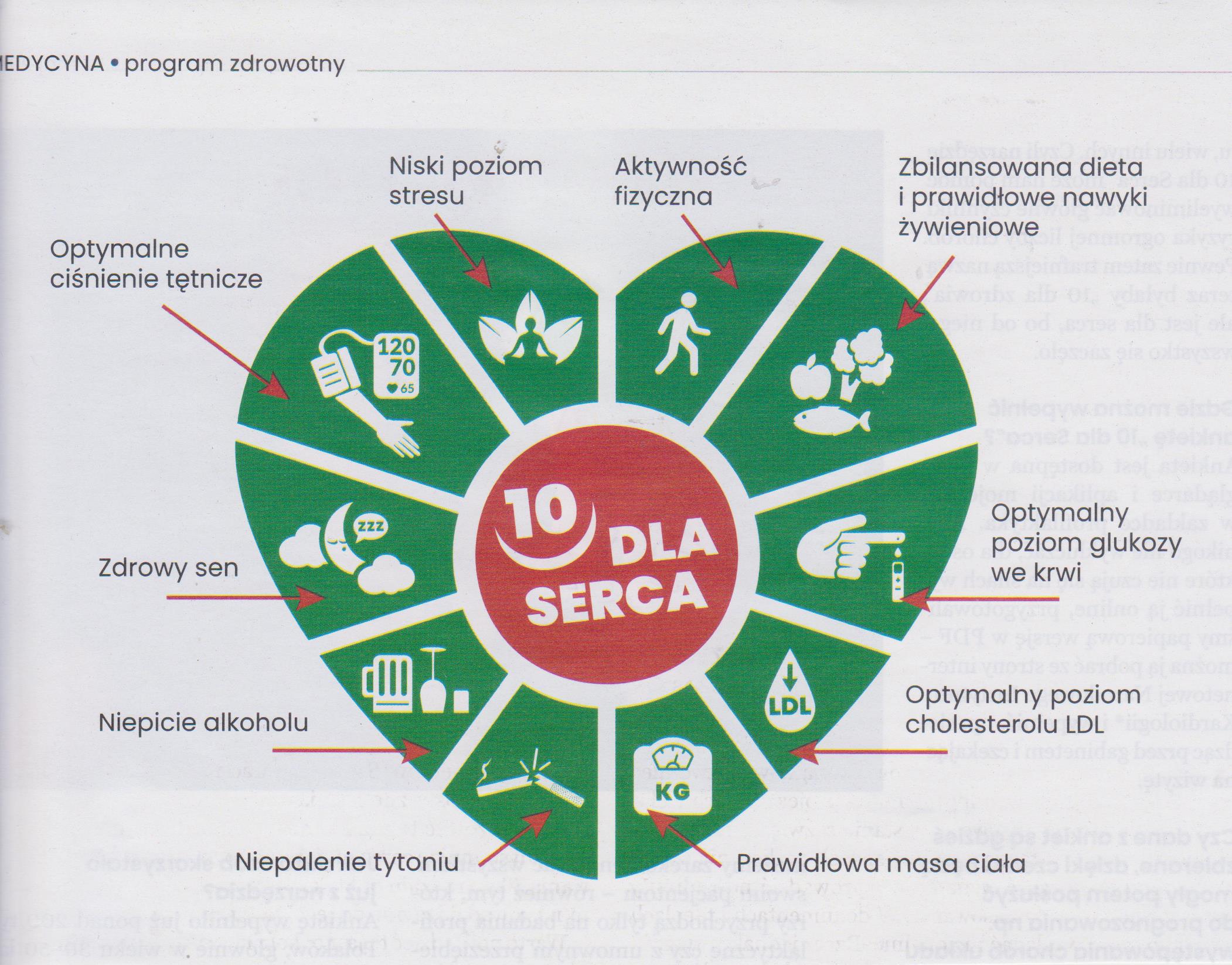 10 dl srca