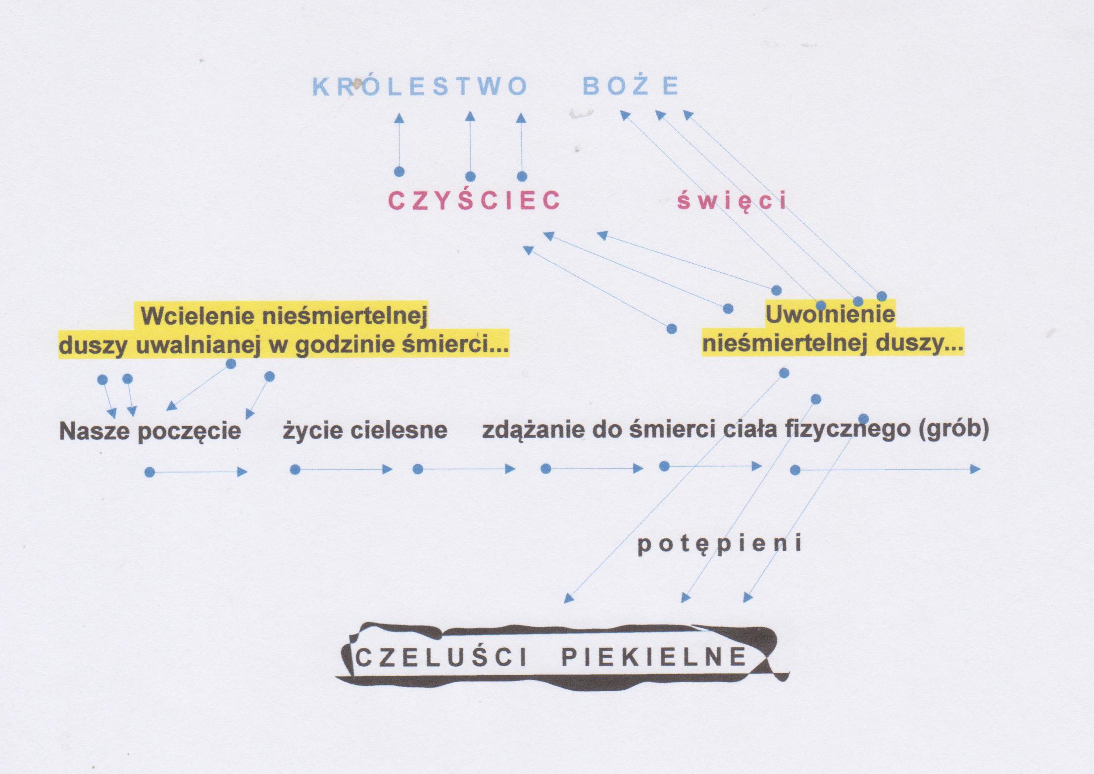 Kominacja świató